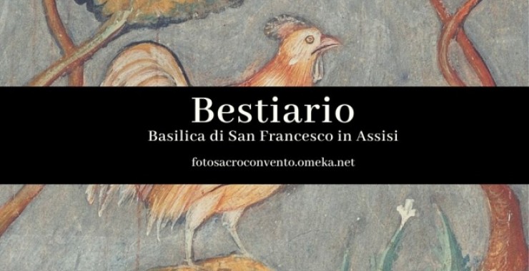 Il bestiario della Basilica: una nuova mostra virtuale